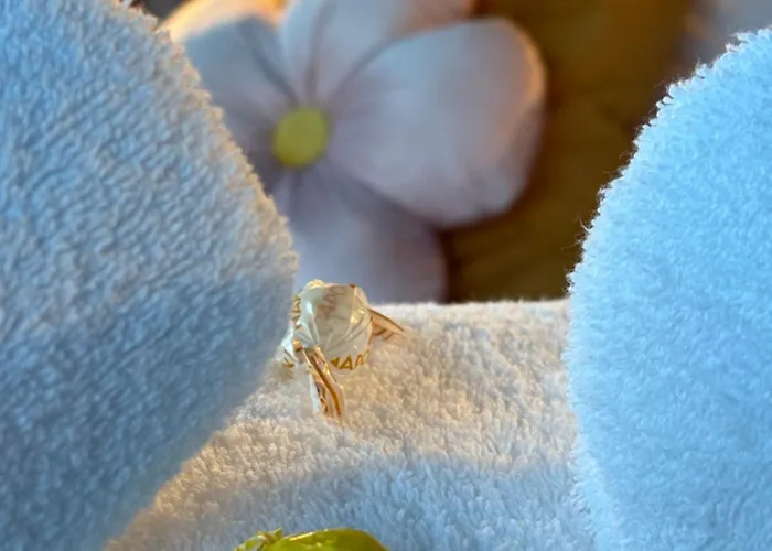 Hotel Havenzicht Westhoek Marina Nieuwpoort